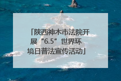 陕西神木市法院开展“6.5”世界环境日普法宣传活动