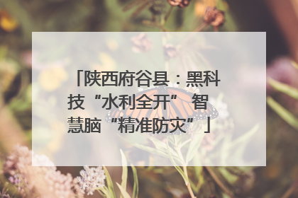 陕西府谷县：黑科技“水利全开” 智慧脑“精准防灾”