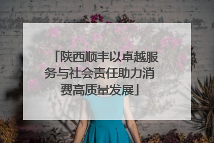 陕西顺丰以卓越服务与社会责任助力消费高质量发展
