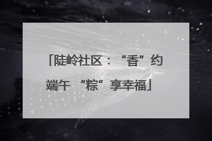 陡岭社区：“香”约端午 “粽”享幸福