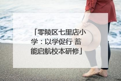 零陵区七里店小学：以学促行 蓄能启航校本研修