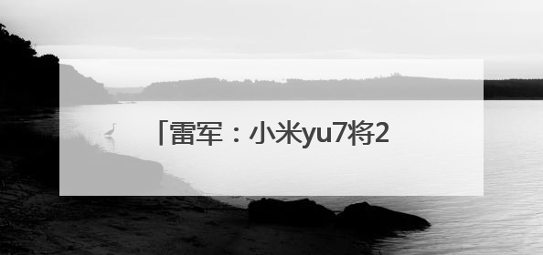 雷军：小米yu7将2200MPa超强钢应用于车身前后车门防撞梁