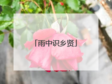 雨中识乡贤
