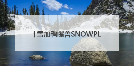 雪加鸭嘴兽SNOWPLUS，卷起潮流风暴！