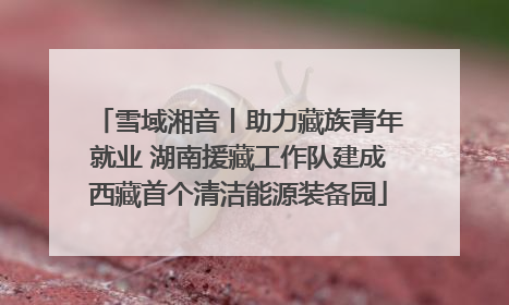 雪域湘音丨助力藏族青年就业 湖南援藏工作队建成西藏首个清洁能源装备园