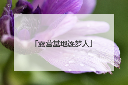 露营基地逐梦人