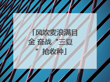 风吹麦浪满目金 奋战“三夏”抢收种