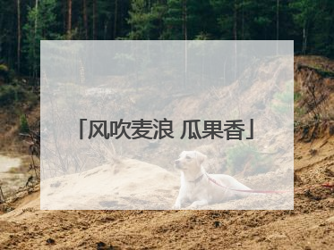 风吹麦浪 瓜果香