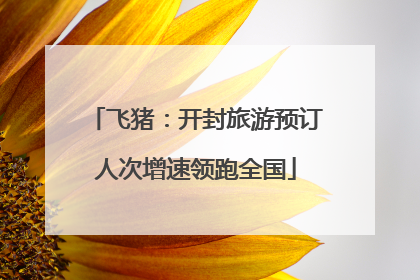 飞猪：开封旅游预订人次增速领跑全国