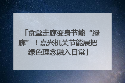 食堂走廊变身节能“绿廊”！嘉兴机关节能展把绿色理念融入日常