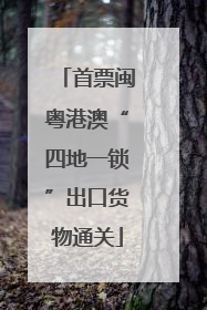 首票闽粤港澳“四地一锁”出口货物通关
