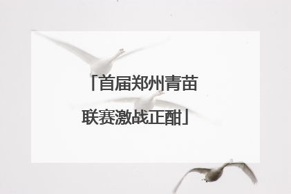 首届郑州青苗联赛激战正酣