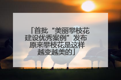 首批“美丽攀枝花建设优秀案例”发布 原来攀枝花是这样越变越美的