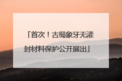首次！古蜀象牙无灌封材料保护公开展出