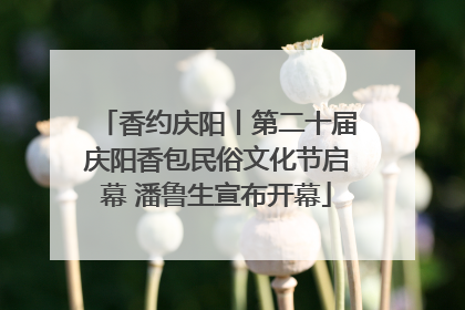 香约庆阳丨第二十届庆阳香包民俗文化节启幕 潘鲁生宣布开幕