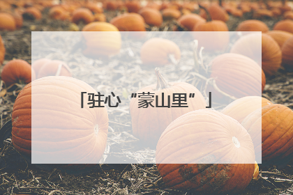 驻心“蒙山里”