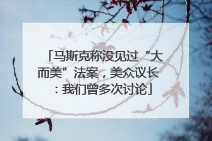 马斯克称没见过“大而美”法案，美众议长：我们曾多次讨论