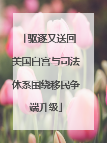驱逐又送回 美国白宫与司法体系围绕移民争端升级