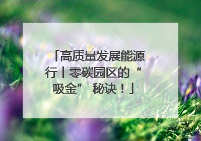 高质量发展能源行丨零碳园区的“吸金” 秘诀！