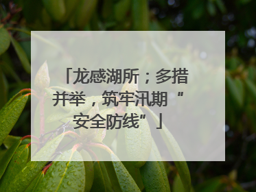 龙感湖所；多措并举，筑牢汛期“安全防线”
