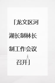 龙文区河湖长制林长制工作会议召开