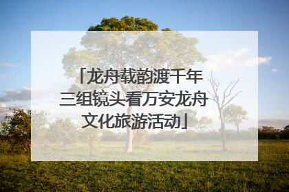 龙舟载韵渡千年 三组镜头看万安龙舟文化旅游活动