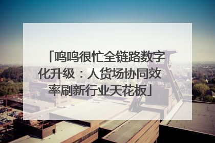 鸣鸣很忙全链路数字化升级：人货场协同效率刷新行业天花板