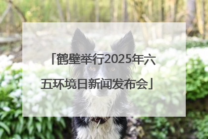 鹤壁举行2025年六五环境日新闻发布会