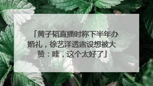 黄子韬直播时称下半年办婚礼，徐艺洋透露设想被大赞：哇，这个太好了