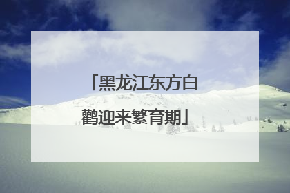 黑龙江东方白鹳迎来繁育期