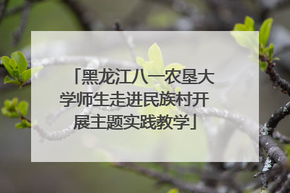 黑龙江八一农垦大学师生走进民族村开展主题实践教学
