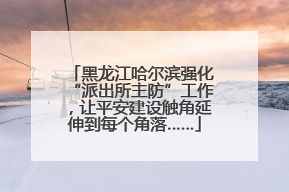 黑龙江哈尔滨强化“派出所主防”工作，让平安建设触角延伸到每个角落……