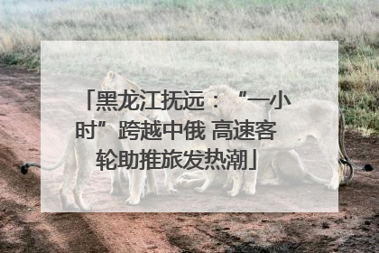 黑龙江抚远：“一小时”跨越中俄 高速客轮助推旅发热潮