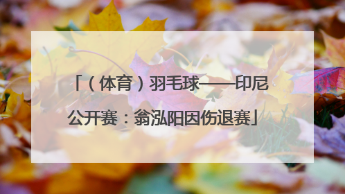 （体育）羽毛球——印尼公开赛：翁泓阳因伤退赛