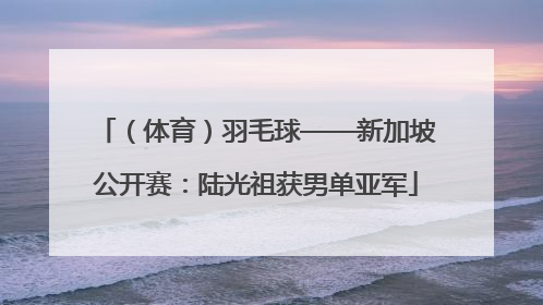 （体育）羽毛球——新加坡公开赛：陆光祖获男单亚军