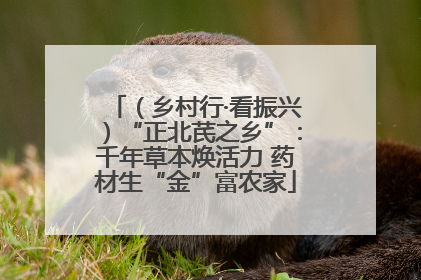 （乡村行·看振兴）“正北芪之乡”：千年草本焕活力 药材生“金”富农家