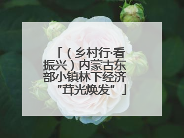 （乡村行·看振兴）内蒙古东部小镇林下经济“茸光焕发”