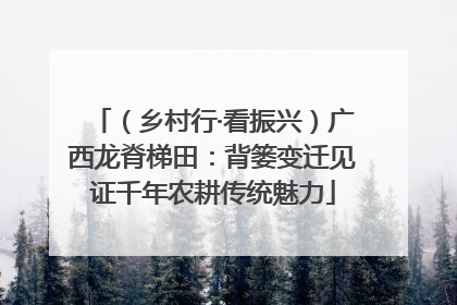（乡村行·看振兴）广西龙脊梯田：背篓变迁见证千年农耕传统魅力