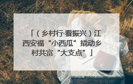 （乡村行·看振兴）江西安福“小西瓜”撬动乡村共富“大支点”