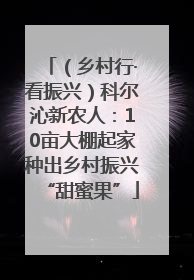 （乡村行·看振兴）科尔沁新农人：10亩大棚起家种出乡村振兴“甜蜜果”