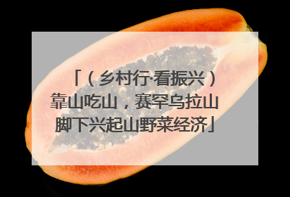 （乡村行·看振兴）靠山吃山，赛罕乌拉山脚下兴起山野菜经济