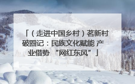 （走进中国乡村）茗新村破圈记：民族文化赋能 产业借势 “网红东风”