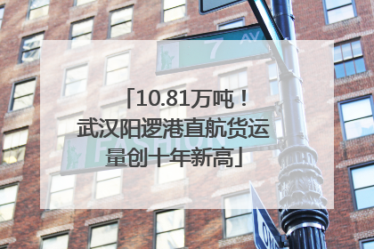 10.81万吨！武汉阳逻港直航货运量创十年新高