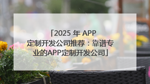 2025 年 APP 定制开发公司推荐：靠谱专业的APP定制开发公司