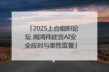 2025上合组织论坛 周鸿祎建言AI安全应对与柔性监管