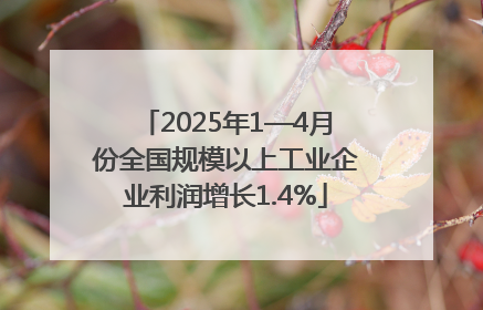 2025年1—4月份全国规模以上工业企业利润增长1.4%