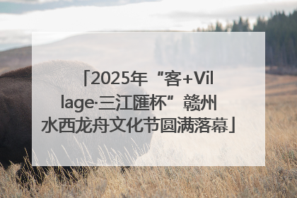 2025年“客+Village·三江匯杯”赣州水西龙舟文化节圆满落幕