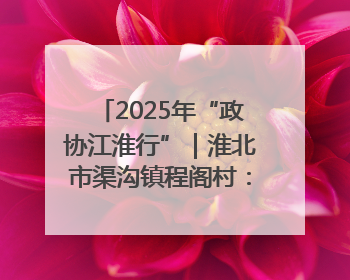 2025年“政协江淮行”｜淮北市渠沟镇程阁村：“生态痛点”变“生态景观”