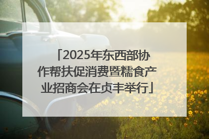 2025年东西部协作帮扶促消费暨糯食产业招商会在贞丰举行