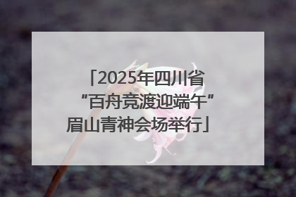 2025年四川省“百舟竞渡迎端午”眉山青神会场举行